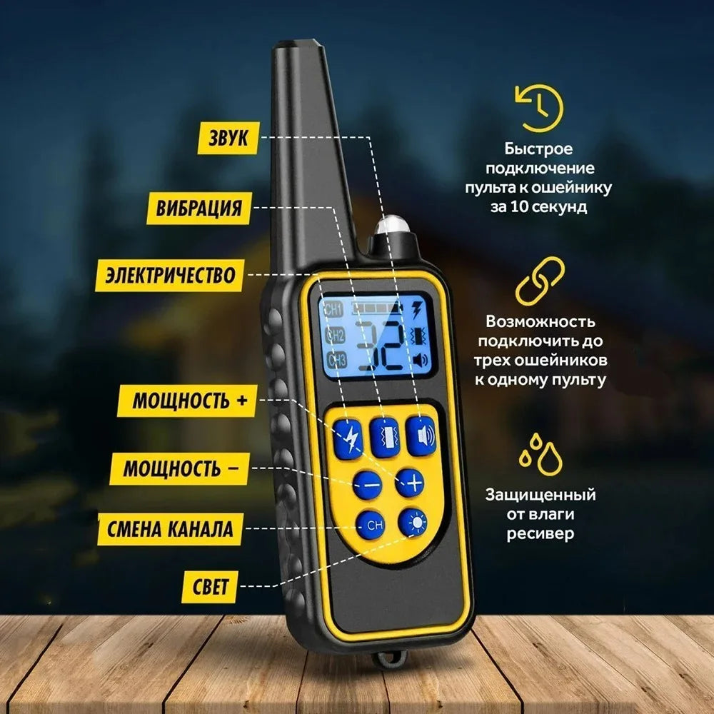 Collier de dressage pour chien avec télécommande, collier de choc pour chien, étanche, aste, grand, moyen, petit