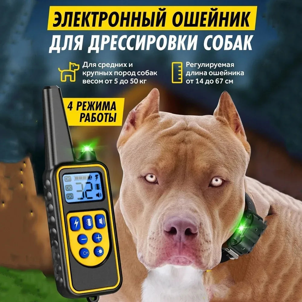 Collier de dressage pour chien avec télécommande, collier de choc pour chien, étanche, aste, grand, moyen, petit