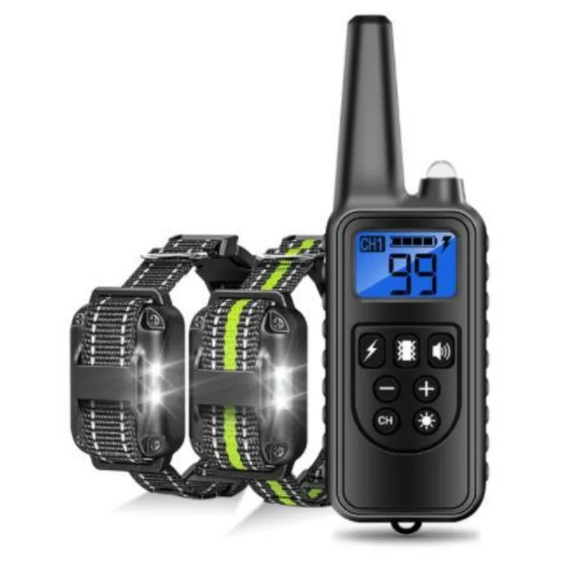 Collier de dressage pour chien avec télécommande, collier de choc pour chien, étanche, aste, grand, moyen, petit