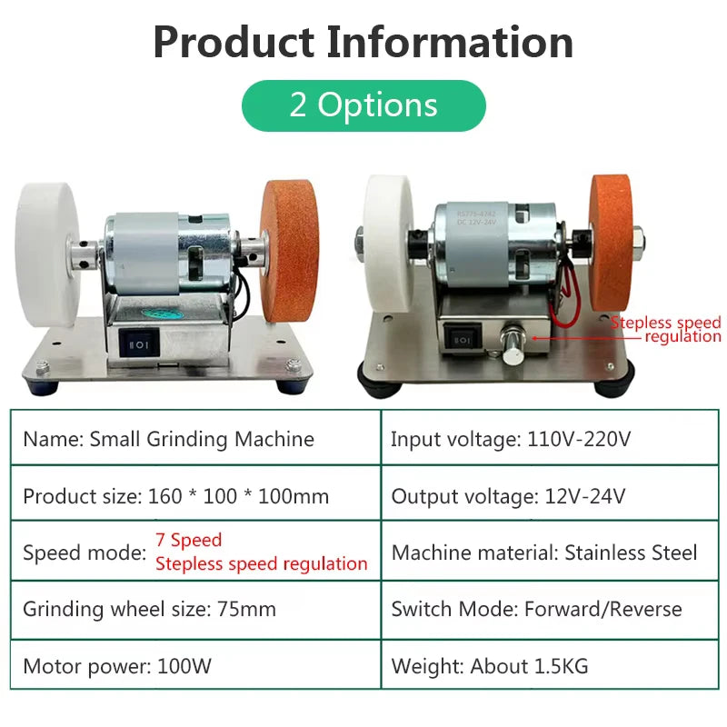 100W Double meuleuse Machine artefact Table meuleuse moteur Micro gros et fin polissage électrique meule meule pierre