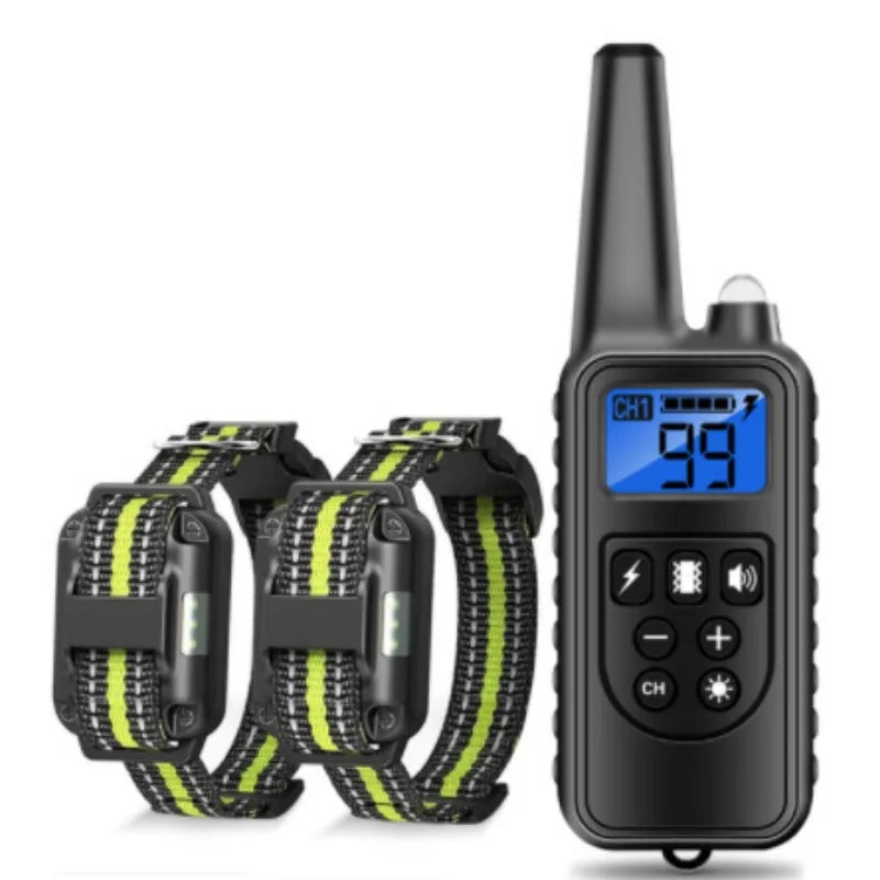 Collier de dressage pour chien avec télécommande, collier de choc pour chien, étanche, aste, grand, moyen, petit
