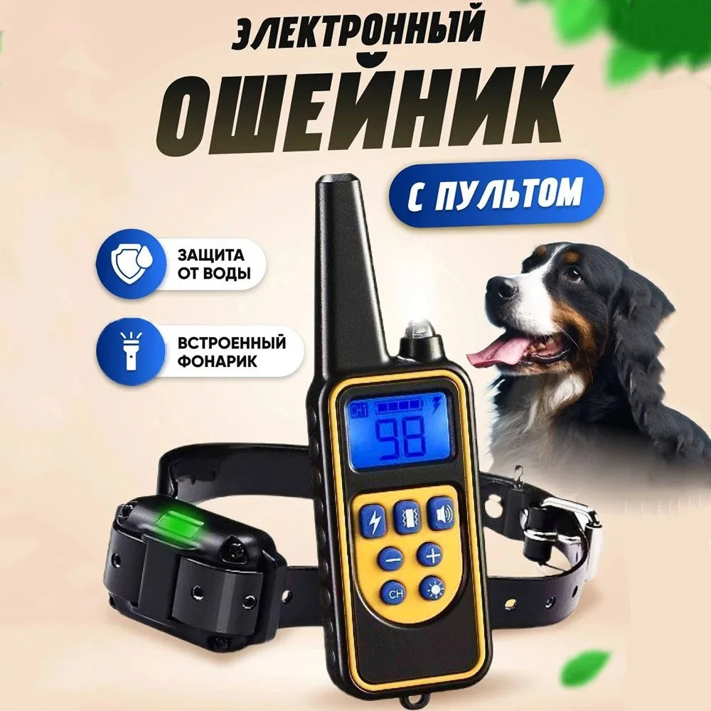 Collier de dressage pour chien avec télécommande, collier de choc pour chien, étanche, aste, grand, moyen, petit