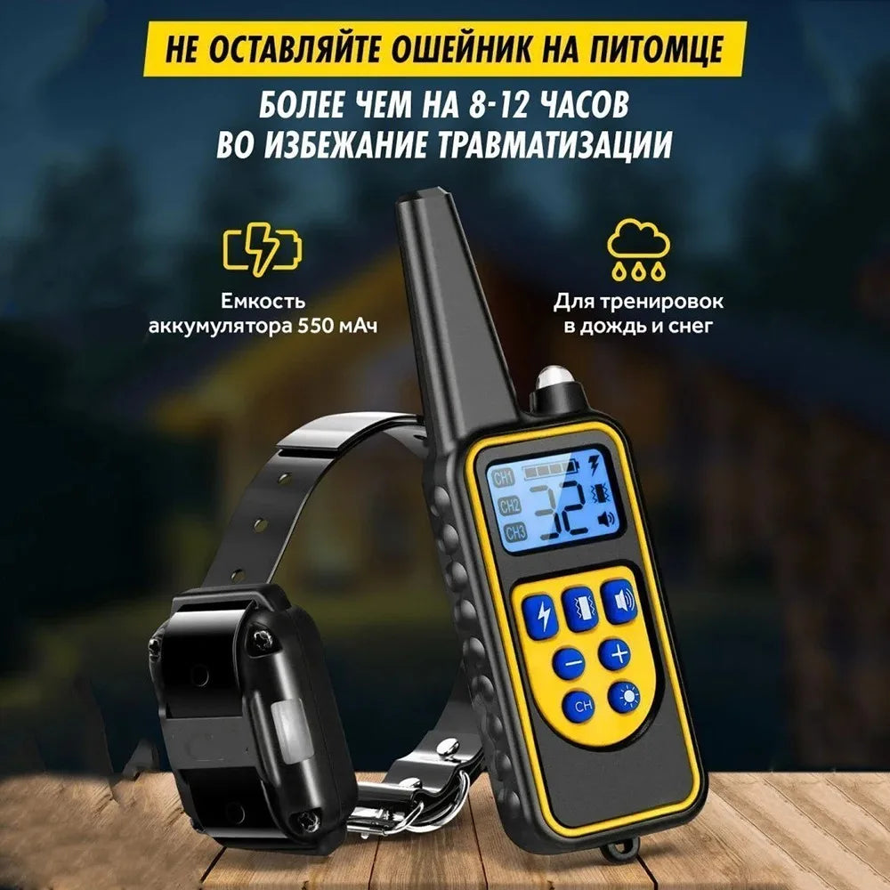 Collier de dressage pour chien avec télécommande, collier de choc pour chien, étanche, aste, grand, moyen, petit